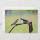 Search for little birdie invitations Birdy