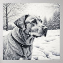 Recherche de noir blanc chien posters Labrador