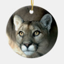 Search for mountain lion ornaments Zoo
