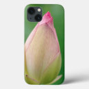 Search for freshness ipad cases Gallo images