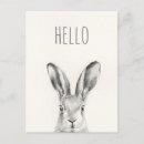 Recherche de crayons cartes postales Animal