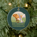 Search for capybara ornaments Rodent