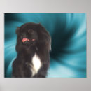 Search for blue black art Pet