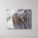 Search for squirrell canvas prints Funny