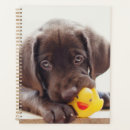Search for rubber duck office supplies Cute