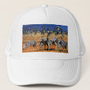 Search for zebra baseball hats africa