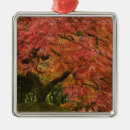 Search for japanese maple ornaments Oregon