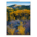 Recherche de lana cartes postales Lanna miller