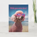 Search for poodle cards invites Pets