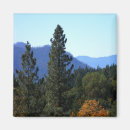 Search for changing magnets Landscape