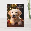 Recherche de chien jaune vœux cartes Récupérateur de labrador jaune