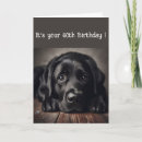Search for funny labrador birthday cards Black