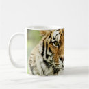 Search for siberian tiger mugs Big
