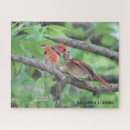 Search for audubon birds puzzles Nature