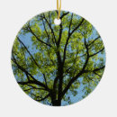Search for vibrant ornaments Green