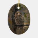 Search for barred owl ornaments Birds