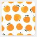 Search for apricot stickers Watercolor