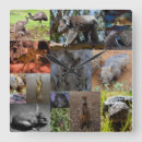 Search for platypus art Australian