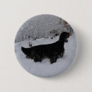 Search for setters buttons Animal