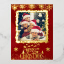 Search for holyday postcards Winter