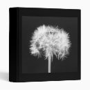 Search for dandelion binders White