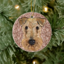 Search for airedale ornaments Terriers