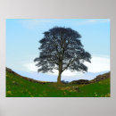 Search for northumberland posters Hadrians wall