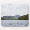 Search for adirondacks electronics Landscape