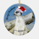 Search for customisation ornaments Merry christmas