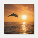 Search for bottlenose dolphin magnets Outdoors