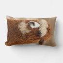 Recherche de alpaga coussins Mignon