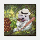 Search for steals magnets Dog
