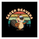 Recherche de castors posters Animaux