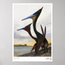 Search for pterodactyl art Pteranodon