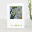 Search for oleanders Summer