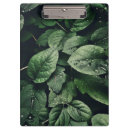 Search for environment clipboards Foliage