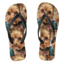 Recherche de yorkshire terrier chaussures Yorkie