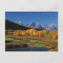 Recherche de oxbow cartes postales Wyoming