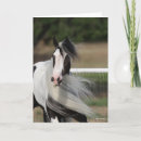 Search for gypsy vanner horse cards Headshot