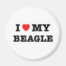 Recherche de de chiot de beagle magnets Coeur