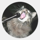 Search for singing cats stickers Cat lover