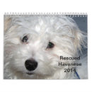 Search for rescue calendars White