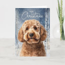 Search for goldendoodle christmas cards Dogs