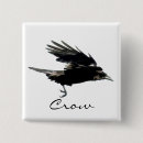 Search for flying crows Ravens