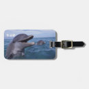Search for bill accessories Cute