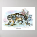 Search for snow leopard posters Forest