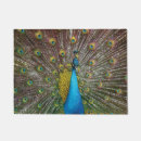 Search for peacocks doormats Feathers