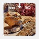 Search for adult ornaments Animal