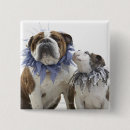 Search for animal collar buttons Cute