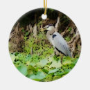 Search for swamp ornaments Florida